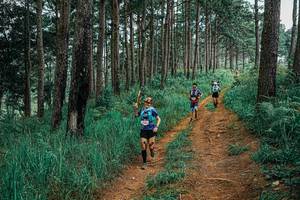 BIB: 
                            <button type="button" onclick="openModal(25659903)" class="btn btn-primary btn-sm float-right btn-popup" data-toggle="modal" data-target=".modal-high-quality">
                        <i class="fas fa-shopping-cart"></i> Add to Cart
                    </button>
                                            <button type="button" onclick="isThisMe(25659903, true)" class="btn btn-success btn-sm float-right btn-popup btn-isme hidden" data-toggle="tooltip" data-placement="bottom" title="นี่คือรูปของคุณใช่ไหม คลิกที่นี่เพื่อเอาเข้าอัลบั้ม">
                        <i class="fas fa-plus"></i> Add to album
                    </button>
                    <button type="button" onclick="isThisMe(25659903, false)" class="btn btn-warning btn-sm float-right btn-popup btn-isnotme hidden">
                        <i class="fas fa-ban"></i> Remove from album
                    </button>